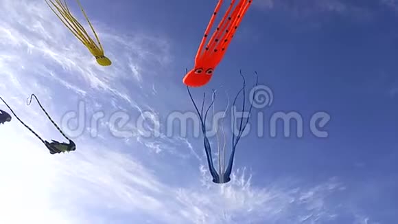 蓝天充满章鱼风筝在风中飞翔的视频视频的预览图