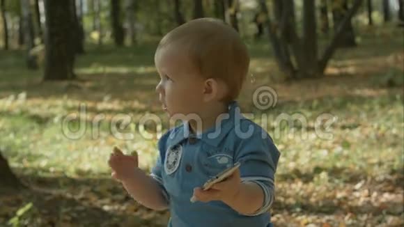秋天公园的小男孩用智能手机视频的预览图