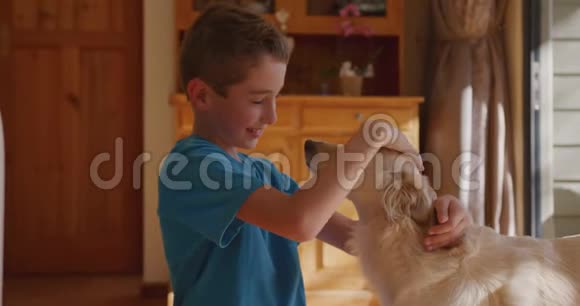 男孩和他的狗在家视频的预览图
