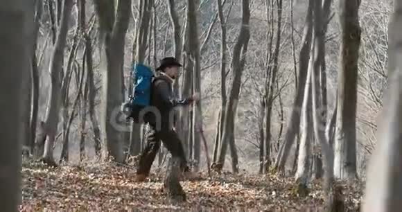 在森林里散步的男游客视频的预览图