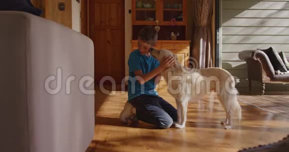 男孩和他的狗在家视频的预览图