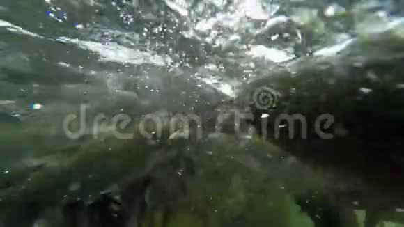 派龙德尔迪亚布罗瀑布水下慢速运动视频的预览图