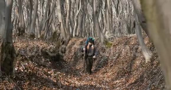 在森林里散步的男性游客视频的预览图