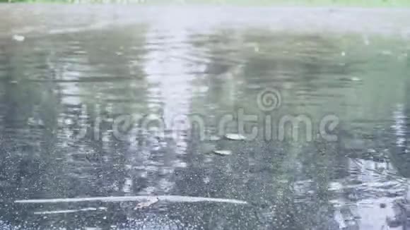 在大雨中行走的人视频的预览图