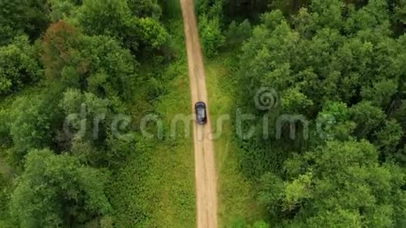 森林中汽车的鸟瞰图视频的预览图