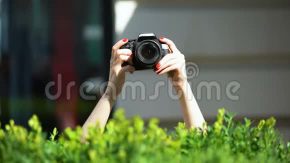 女人手里拿着照片相机在公园灌木丛后面私家侦探间谍视频的预览图