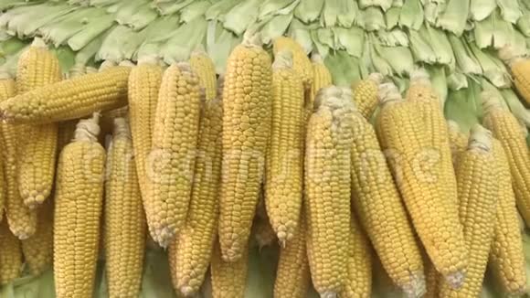 市场上的玉米视频的预览图