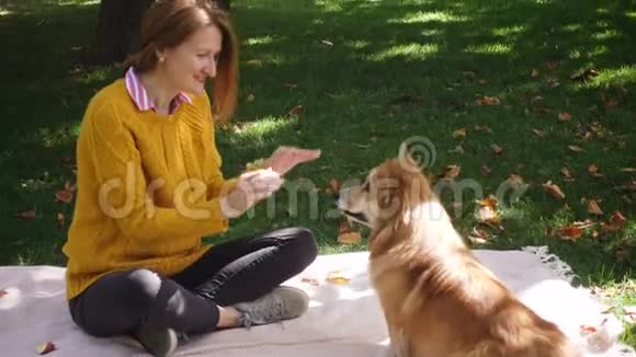 带着科吉狗在公园休息的女孩视频的预览图