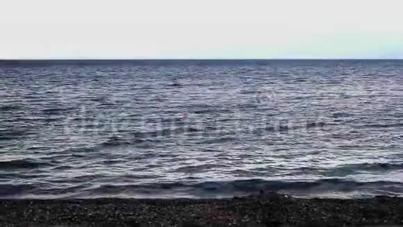 钢灰蓝海水视频的预览图