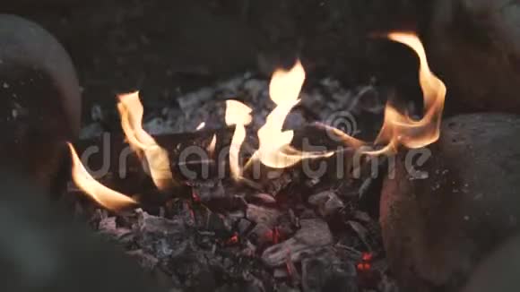 火里的火视频的预览图