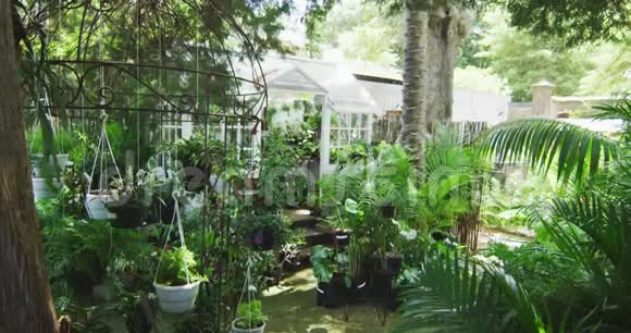 花园里有植物和温室视频的预览图