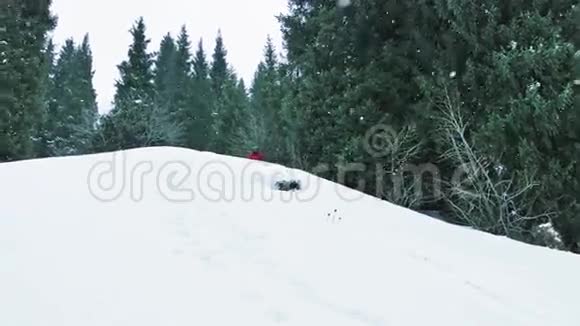 冬季滑雪者从山上的树上跳下的脚印视频的预览图