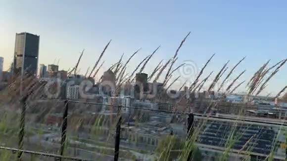 蒙特利尔城的景色视频的预览图