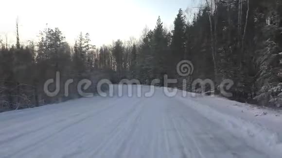 林中雪野路视频的预览图