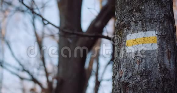 在一棵树上的山间小径标志视频的预览图