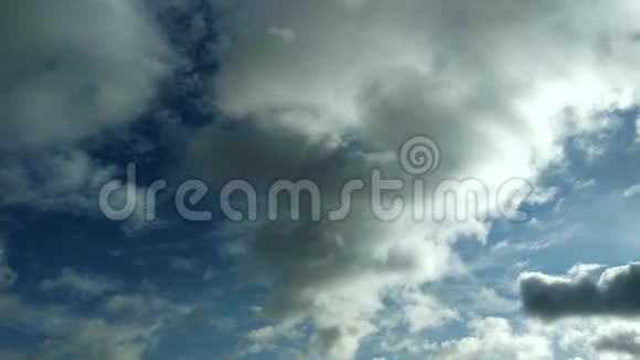 云飞过冬天视频的预览图