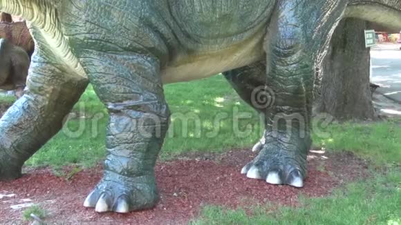 公园腿和身体中的真实三角龙恐龙视频的预览图