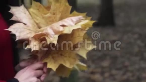 秋天在女人手里视频的预览图