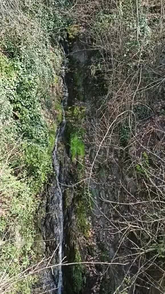 意大利阿尔贡德市附近南蒂罗尔山区的小瀑布视频的预览图