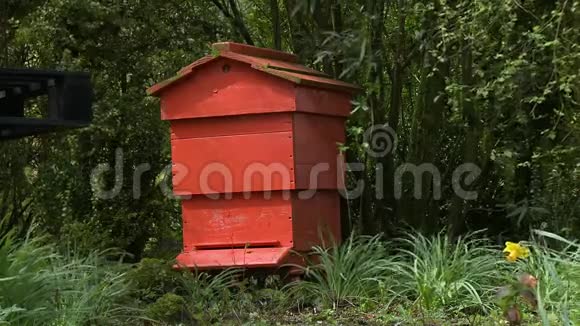 一座鲜红的蜂房视频的预览图