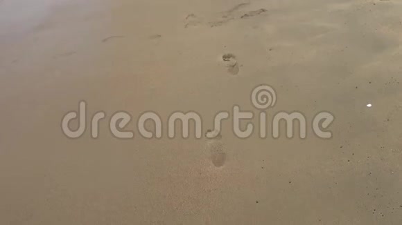 踩着婴儿赤脚在海滩上视频的预览图