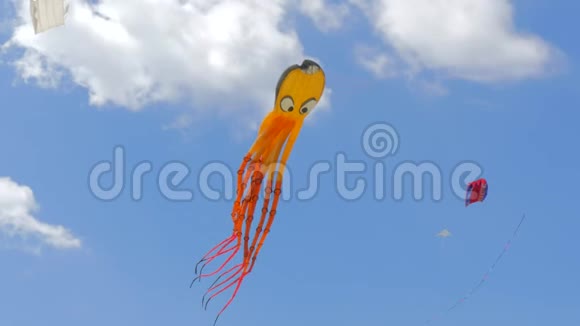 章鱼从下面塑造风筝视频的预览图