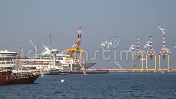 马斯喀特穆特拉港的船只视频的预览图