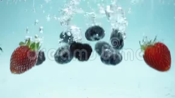 浆果掉进水里视频的预览图