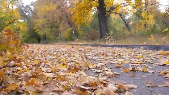 黑色SUV在公园的黄叶上沿着一条空路快速行驶五颜六色的秋叶从下面飞来视频的预览图