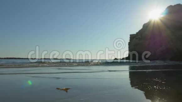 海滩上的海星视频的预览图