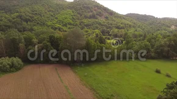 在一片美丽的森林和小山的远处向草地下降视频的预览图
