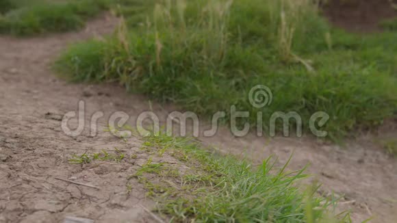 一个徒步旅行者在泥土路上经过视频的预览图