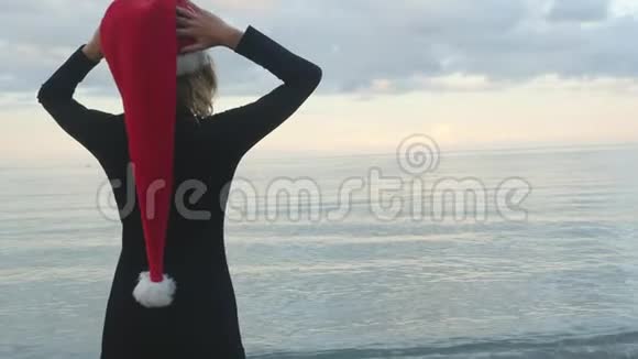 戴着圣诞帽的女人看着大海视频的预览图
