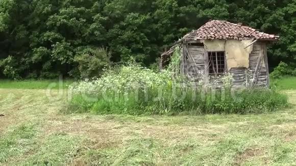 草地上废弃的旧木屋视频的预览图