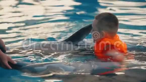 男孩和海豚一起游泳视频的预览图