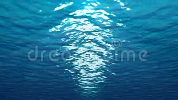 水下世界视频的预览图
