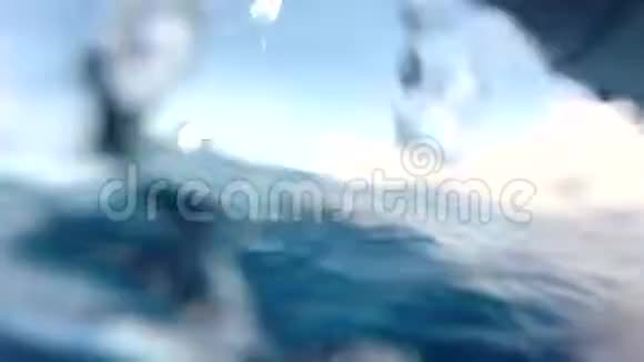 海洋中海豚的水下景观视频的预览图