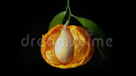 大蒜的橘子和丁香视频的预览图