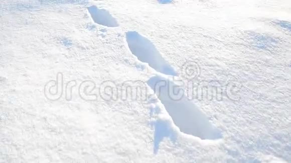 雪地上的脚印视频的预览图