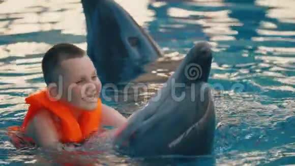 男孩和海豚一起游泳视频的预览图