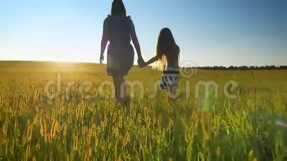 在美丽的时候母亲和小女儿一起散步手牵着小麦或黑麦地视频的预览图