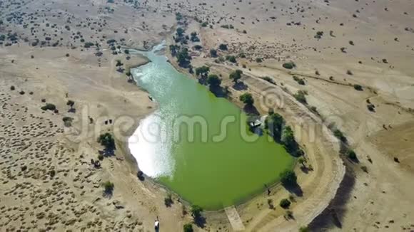 沙漠中的孤独湖视频的预览图