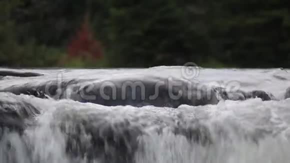 近距离观察瀑布的顶部视频的预览图