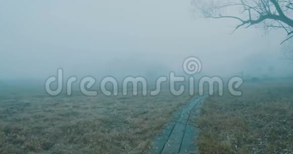 早晨木路上的雾视频的预览图
