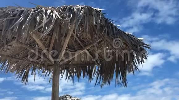 棕榈叶沙滩伞视频的预览图