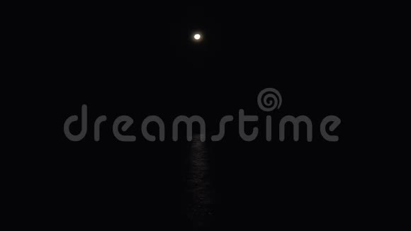 海上的月光视频的预览图