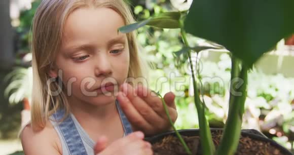 小女孩在大自然中园艺视频的预览图