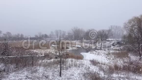 白雪覆盖在森林里视频的预览图
