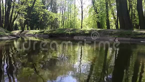 城市公园里的河流视频的预览图