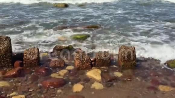 波罗的海在斯普林特洛戈斯克视频的预览图